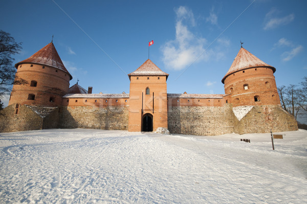 Burg Litauen berühmt Vilnius Himmel Natur Stock foto © johnnychaos