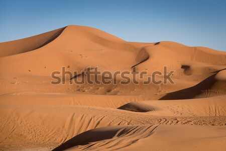 Maroko sahara pustyni piasku niebo słońce Zdjęcia stock © johnnychaos