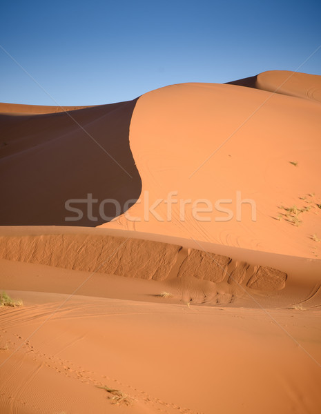 Marruecos sáhara desierto arena cielo sol Foto stock © johnnychaos