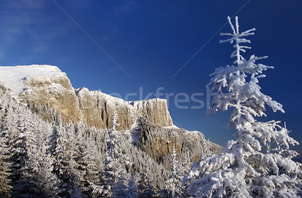 Invierno montana paisaje escena rumano cielo Foto stock © johny007pan