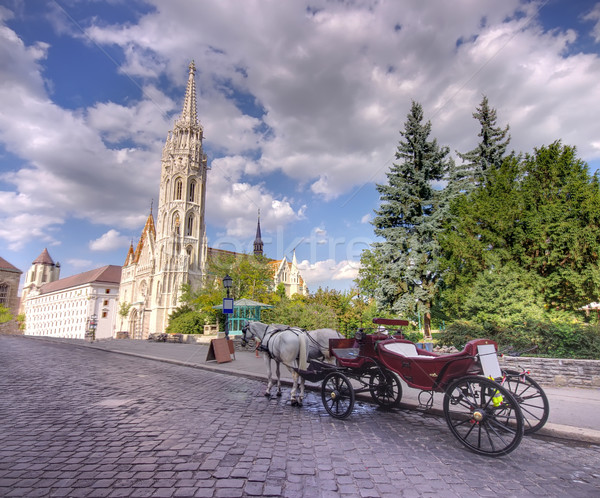 Будапешт лошади Венгрия Церкви ретро Сток-фото © johny007pan