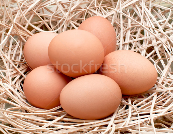 Stok fotoğraf: Kahverengi · yumurta · altı · sepet · bahar