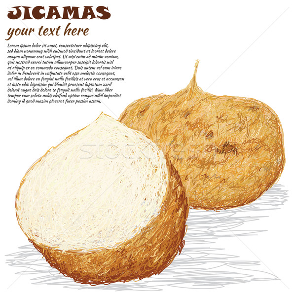 Stock photo: jicamas