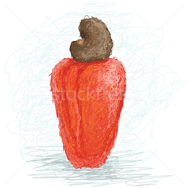カシュー クローズアップ 実例 新鮮な フルーツ 食品 ストックフォト © jomaplaon