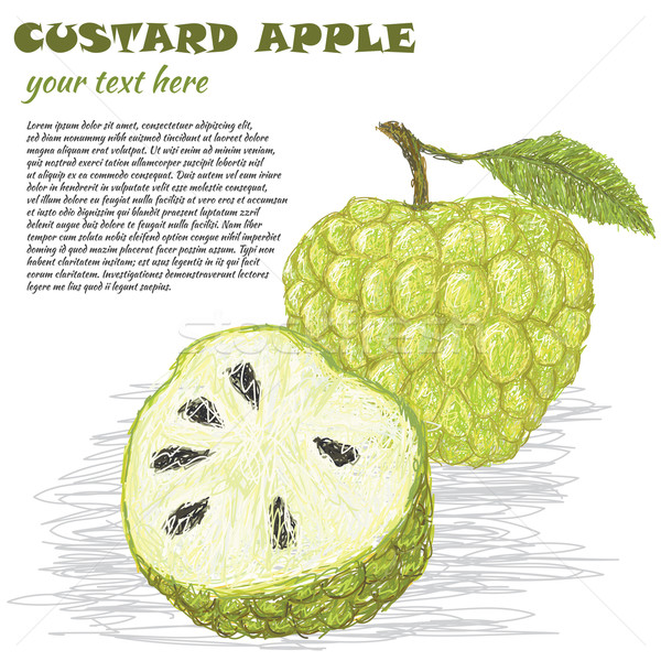 custard-apple Stock photo © jomaplaon