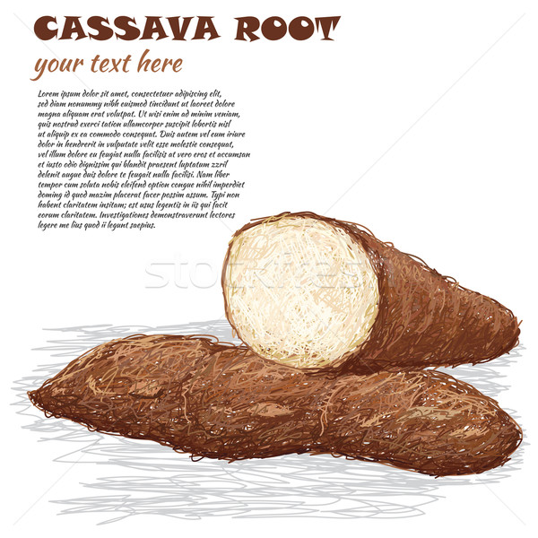 cassava Stock photo © jomaplaon