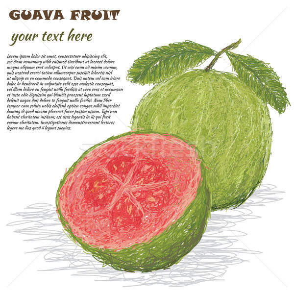 guava fruit Stock photo © jomaplaon