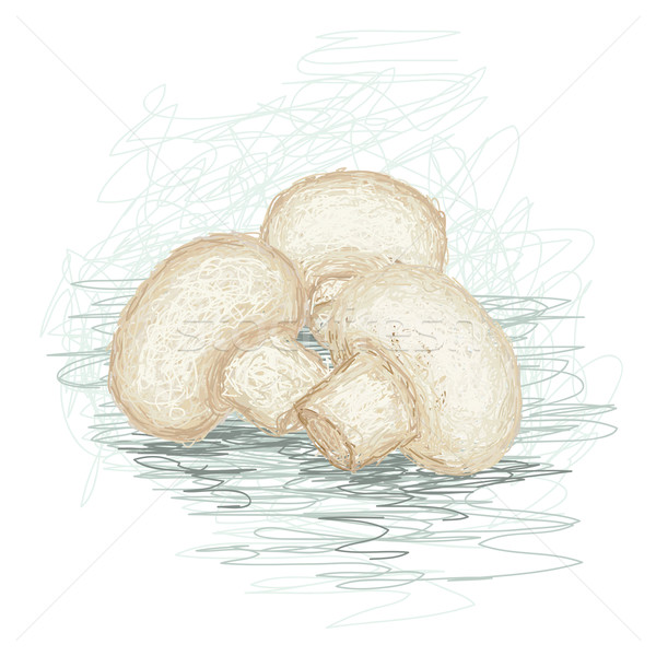 キノコ クローズアップ 実例 新鮮な キノコ 孤立した ストックフォト © jomaplaon