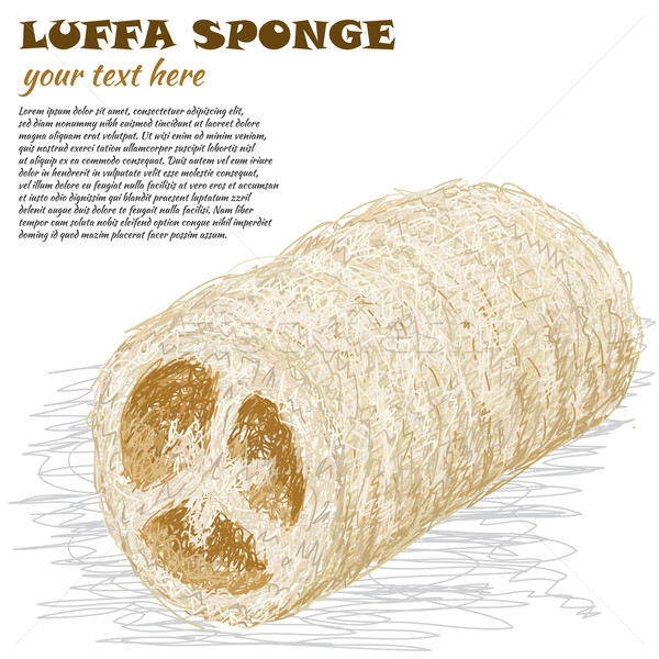 luffa sponge Stock photo © jomaplaon