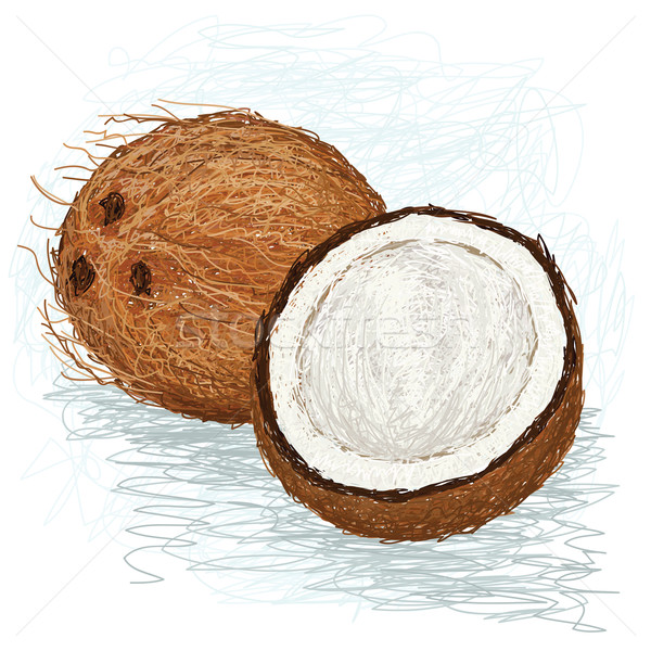 ココナッツ クローズアップ 実例 全体 フルーツ ストックフォト © jomaplaon