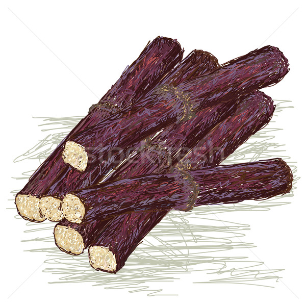 Ilustracja świeże fioletowy cukier trzcinowy odizolowany Zdjęcia stock © jomaplaon