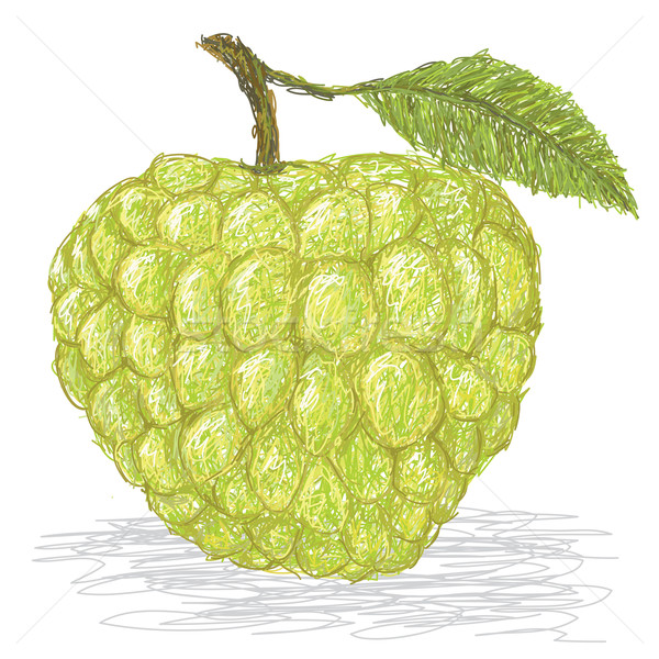 sugar-apple Stock photo © jomaplaon