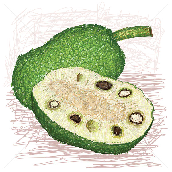 breadfruit seeded variety whole and half sliced
 Stock photo © jomaplaon