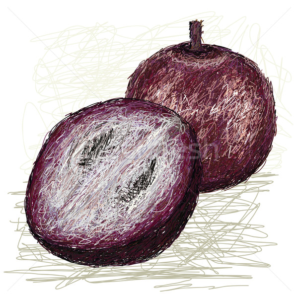 Star jabłko przekrój ilustracja świeże całość Zdjęcia stock © jomaplaon
