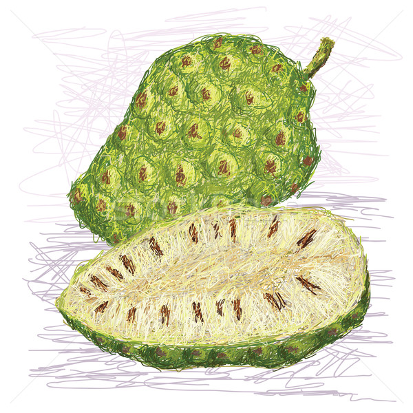noni fruit cross-section Stock photo © jomaplaon