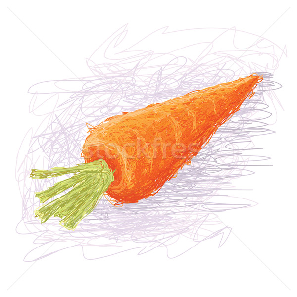 Wortelen illustratie vers wortel plantaardige Stockfoto © jomaplaon