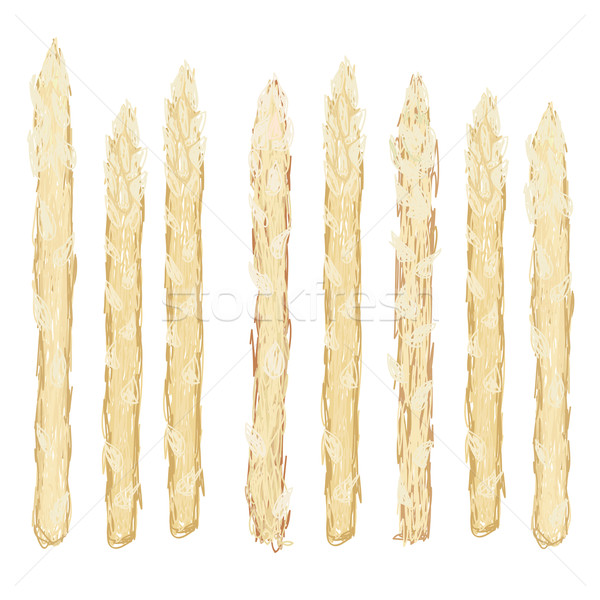 white asparagus isolated Stock photo © jomaplaon