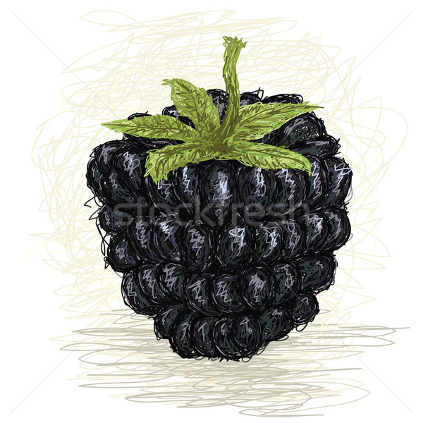 ブラックベリー クローズアップ 実例 新鮮な フルーツ 食品 ストックフォト © jomaplaon