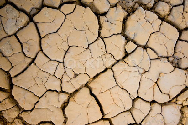 Dry,Soil dry at industrail area Rayong Thailand Stock photo © jomphong