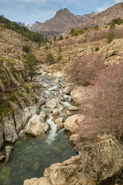 Río córcega central cielo agua naturaleza Foto stock © Joningall