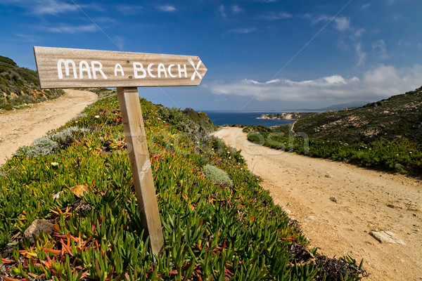 Signpost pointing to the beach at La Revellata near Calvi in Corsica Stock photo © Joningall