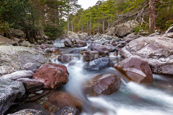 Fast flowing Asco river in Corsica Stock photo © Joningall