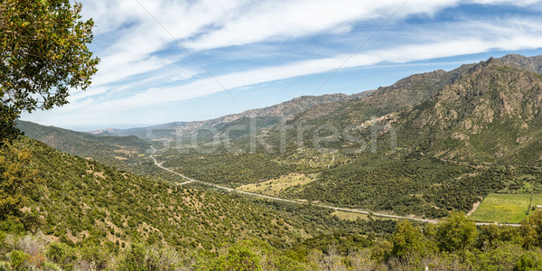 N197 road heads towards the coast in Corsica Stock photo © Joningall
