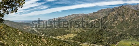 Stock photo: N197 road heads towards the coast in Corsica