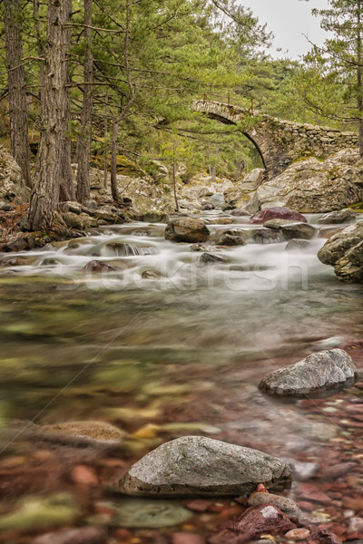 Puente río montana antigua forestales Foto stock © Joningall