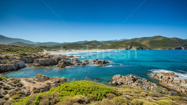 The coast of Corsica and Ostriconi beach Stock photo © Joningall