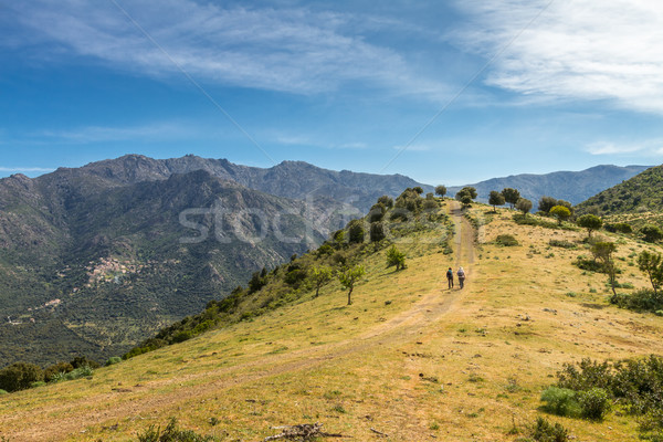 Two hikers on trail near Novella in Balagne region of Corsica Stock photo © Joningall