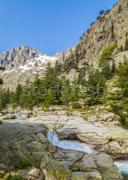 Restonica Valley in Corsica Stock photo © Joningall
