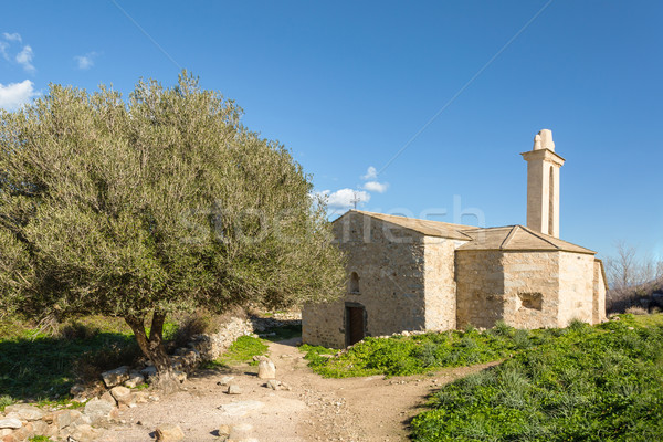 Elhagyatott falu Korzika templom régió égbolt Stock fotó © Joningall