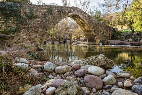 Genoese bridge at Piana in Corsica Stock photo © Joningall