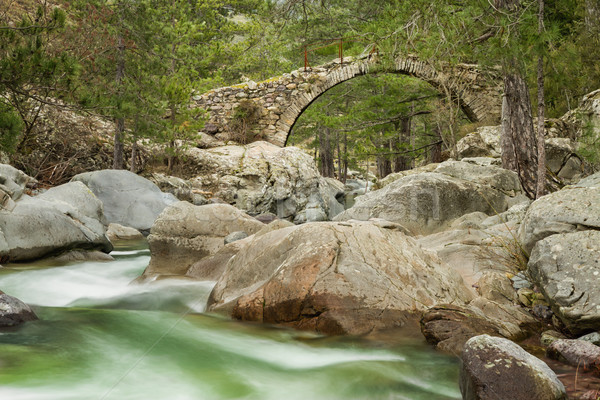 Genoese bridge over Tartagine river in northern Corsica Stock photo © Joningall