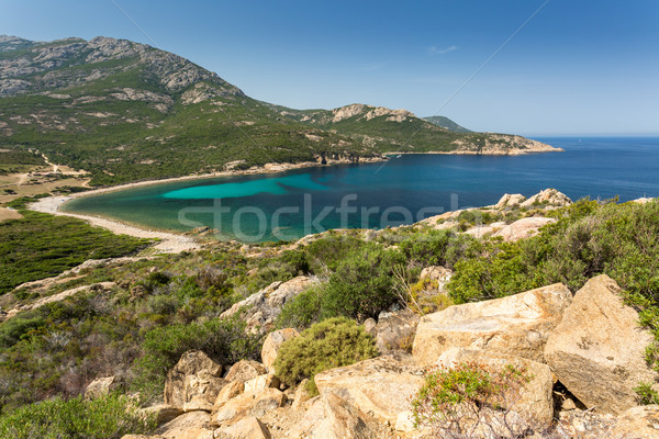 Part Korzika türkiz mediterrán tenger tengerpart Stock fotó © Joningall