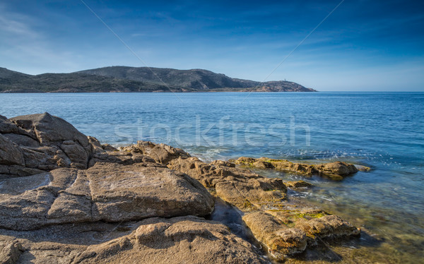 Rocks and sea overlooking La Revellata lighthouse in Corsica Stock photo © Joningall