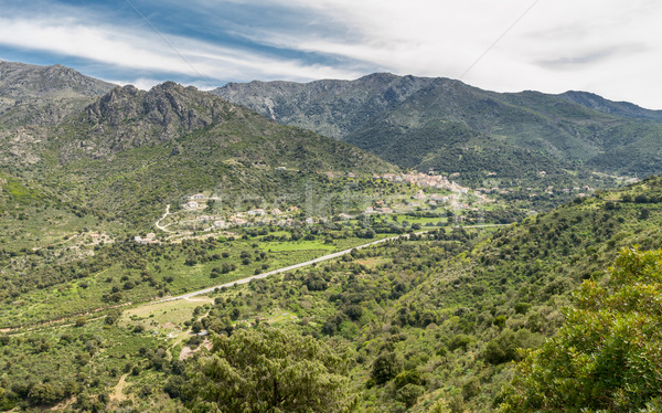 N197 road heads towards the coast in Corsica Stock photo © Joningall