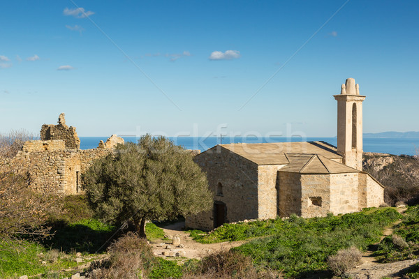 Abandoned village of Occi near Lumio in Corsica Stock photo © Joningall