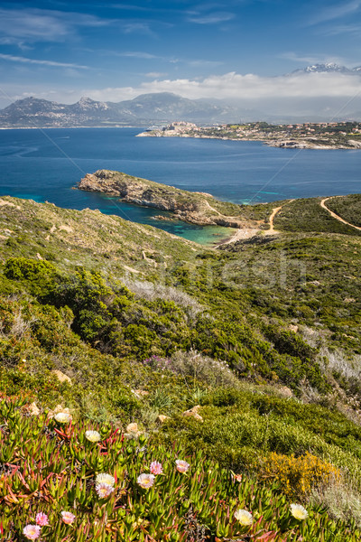 Strand zee bergen la corsica Blauw Stockfoto © Joningall