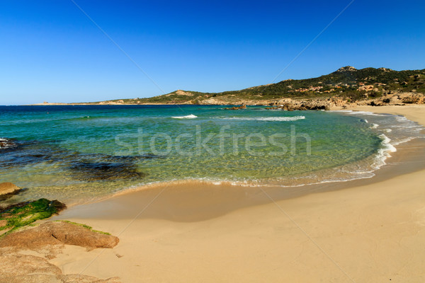 Plage de Petra Muna,  near Calvi in Corsica Stock photo © Joningall