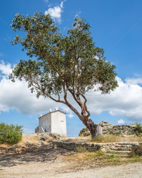 Stock photo: The house on the hill at Baccialu in Corsica