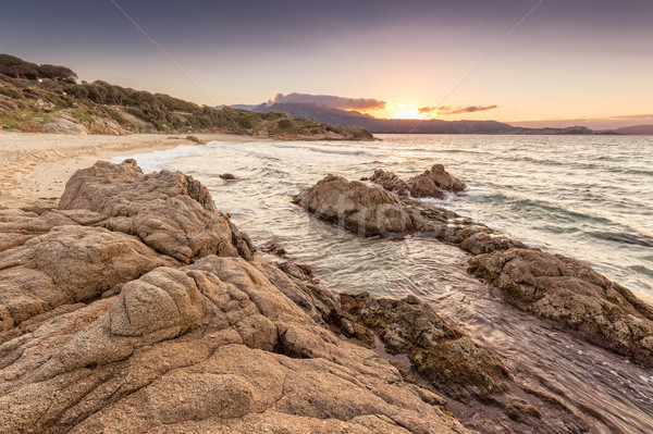 Plage de Petra Muna near Calvi in Corsica Stock photo © Joningall