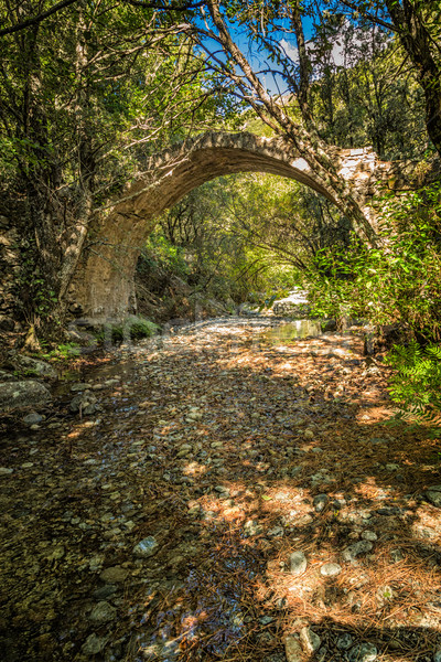 Ponte Sottano bridge near Corscia in Corsica Stock photo © Joningall