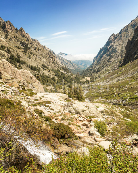 Restonica Valley in Corsica Stock photo © Joningall