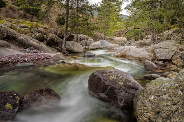 The Tartagine river and Genoese bridge in northern Corsica Stock photo © Joningall