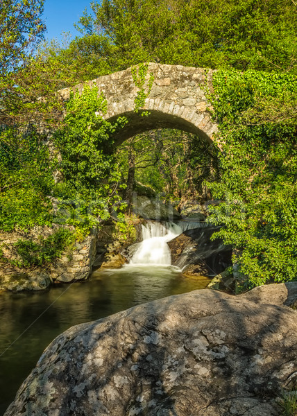 Most kaskada korsyka starożytnych strumienia region Zdjęcia stock © Joningall