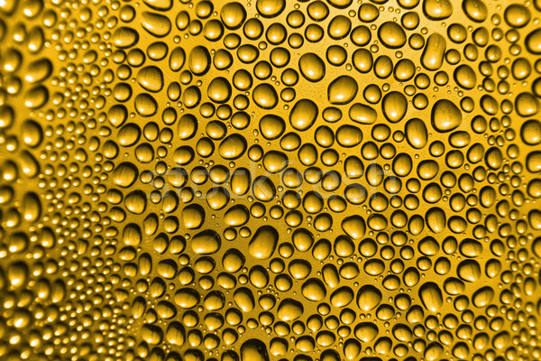 Piwa złoty kroplami wody strony streszczenie bar Zdjęcia stock © jonnysek