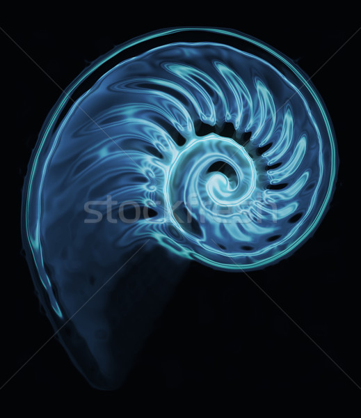abstract water twirl background Stock photo © jonnysek