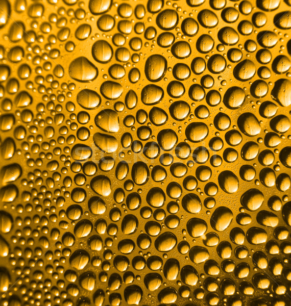 beer texture Stock photo © jonnysek